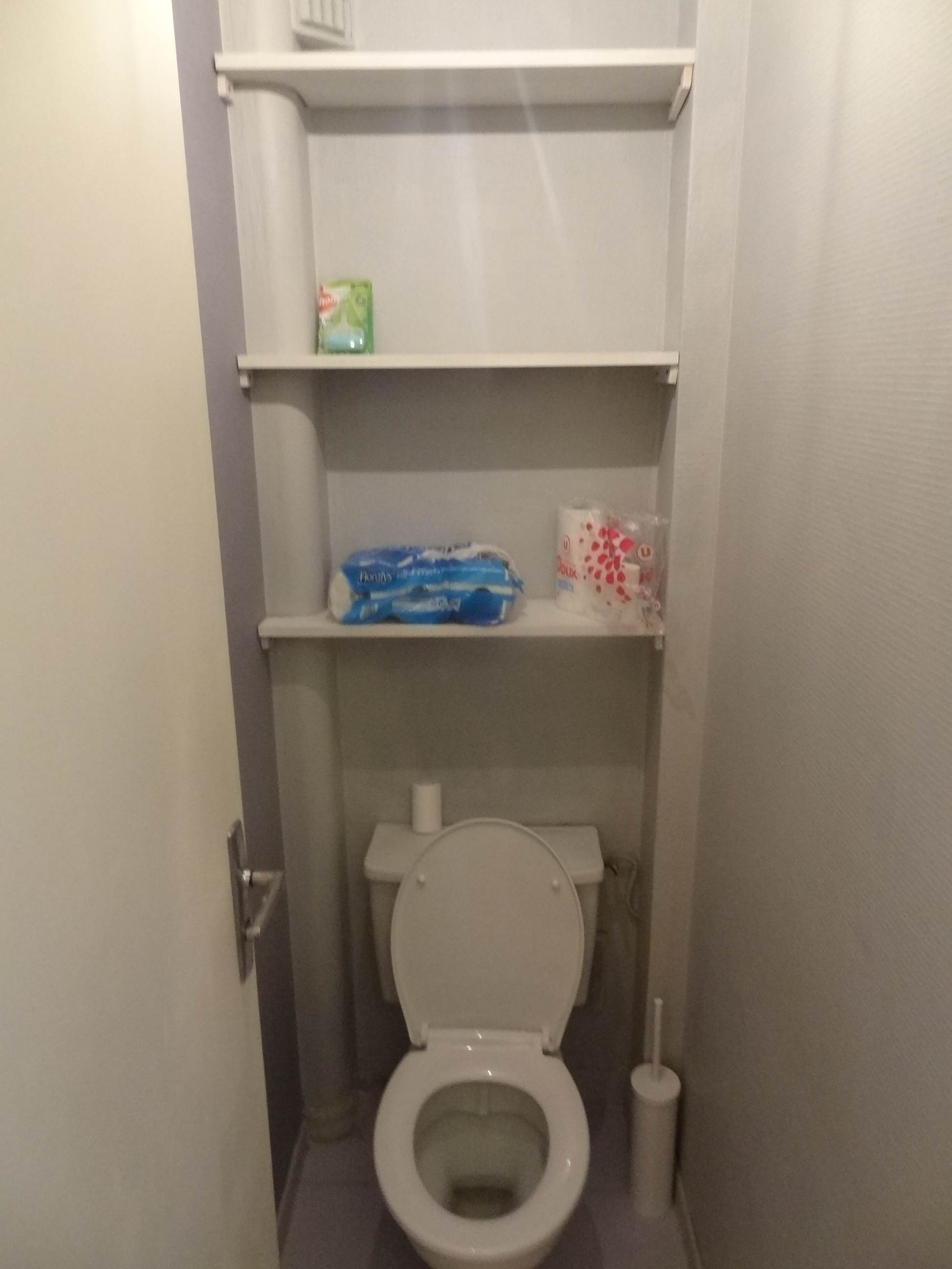 WC 1 paintnet